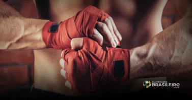 As 5 Melhores Organizações de MMA para Acompanhar em 2023