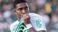 Chapecoense no Campeonato Catarinense: uma trajetória de triunfos e desafios