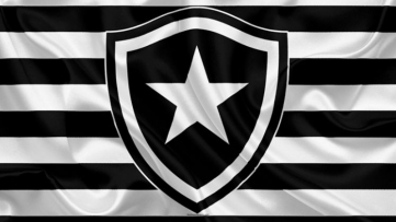 Botafogo 2025: Valor de Mercado, Investimentos e Ambições no Futebol Brasileiro