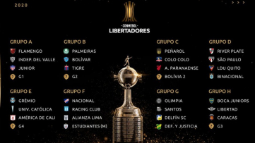 Times brasileiros na Libertadores da América 2020 Times brasileiros na Libertadores da América 2020